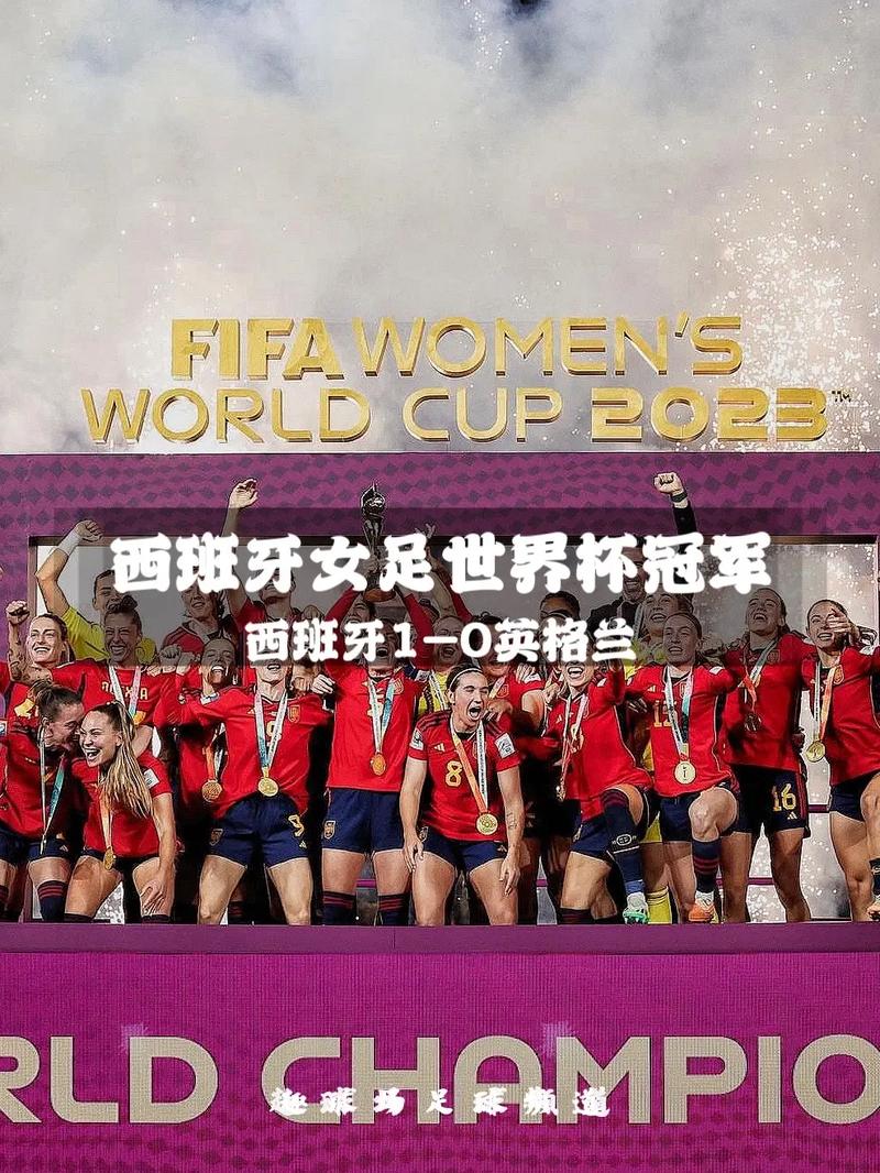 2015女足世界杯冠军